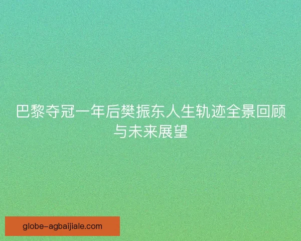 巴黎夺冠一年后樊振东人生轨迹全景回顾与未来展望